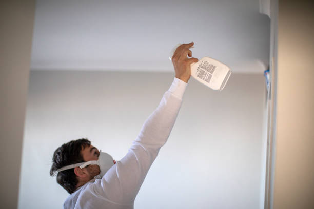 Best Toxic Mold Removal  in Lake Bluff, IL