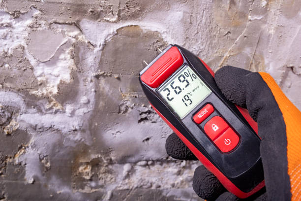 Best Office Mold Removal Services  in Lake Bluff, IL