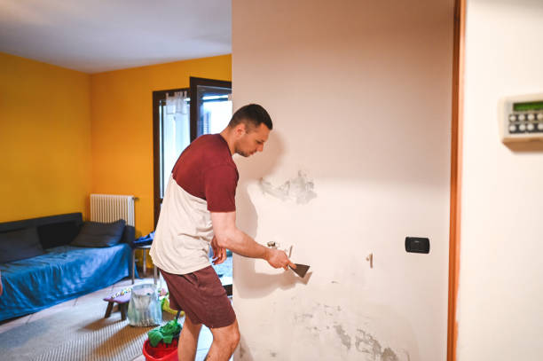 Best Attic Mold Removal  in Lake Bluff, IL